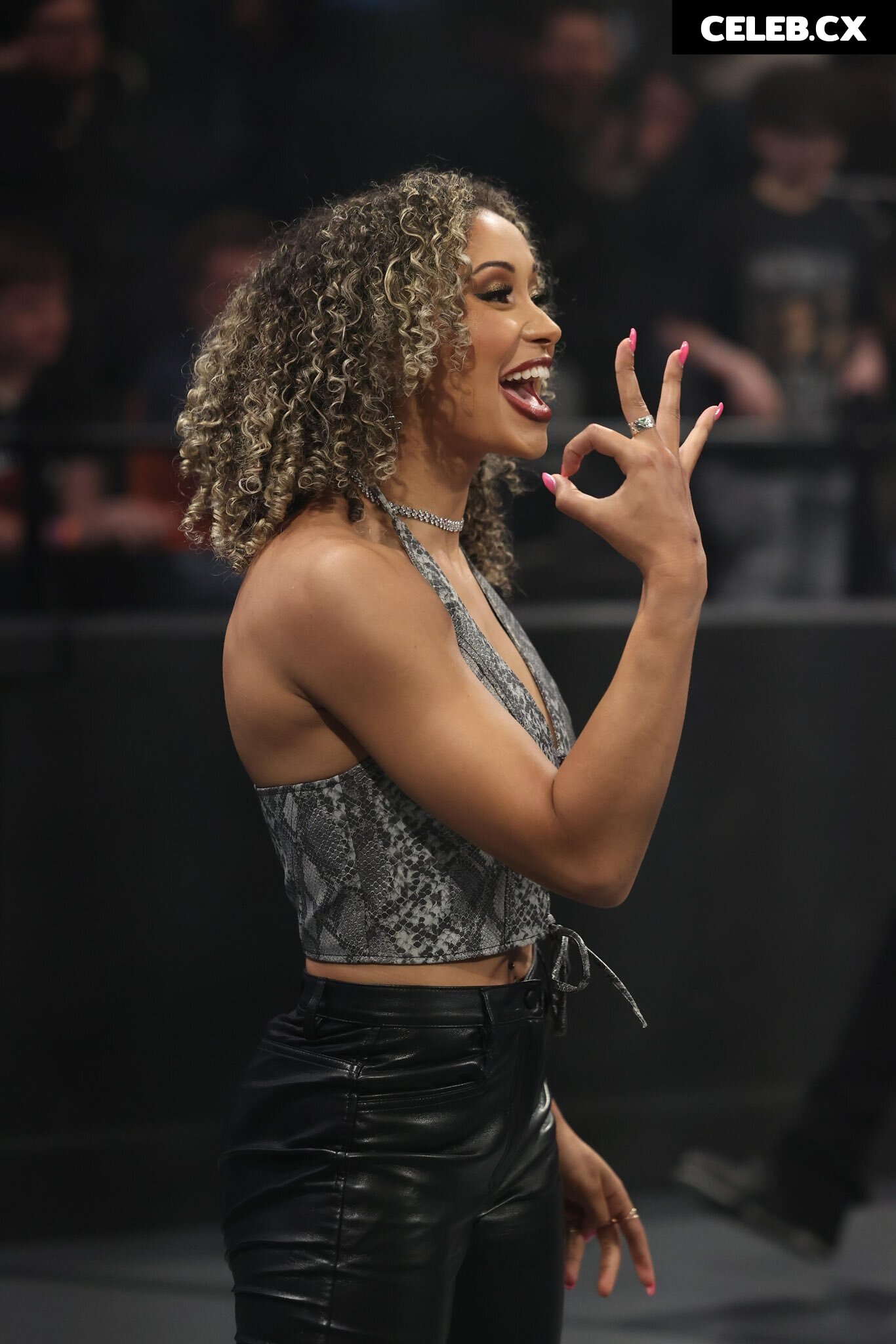 Women of Professional Wrestling Image 6346427