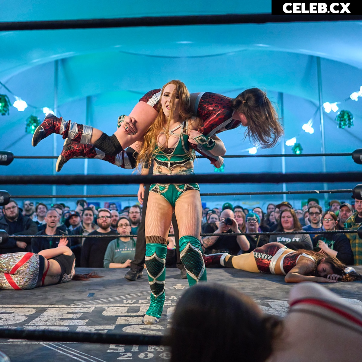 Women of Professional Wrestling Image 6342854