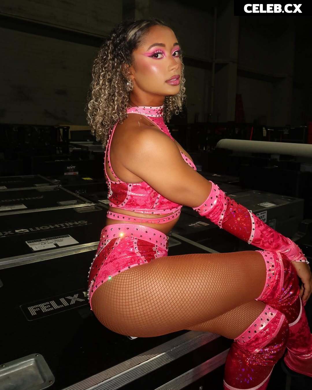 Women of Professional Wrestling Image 6342375