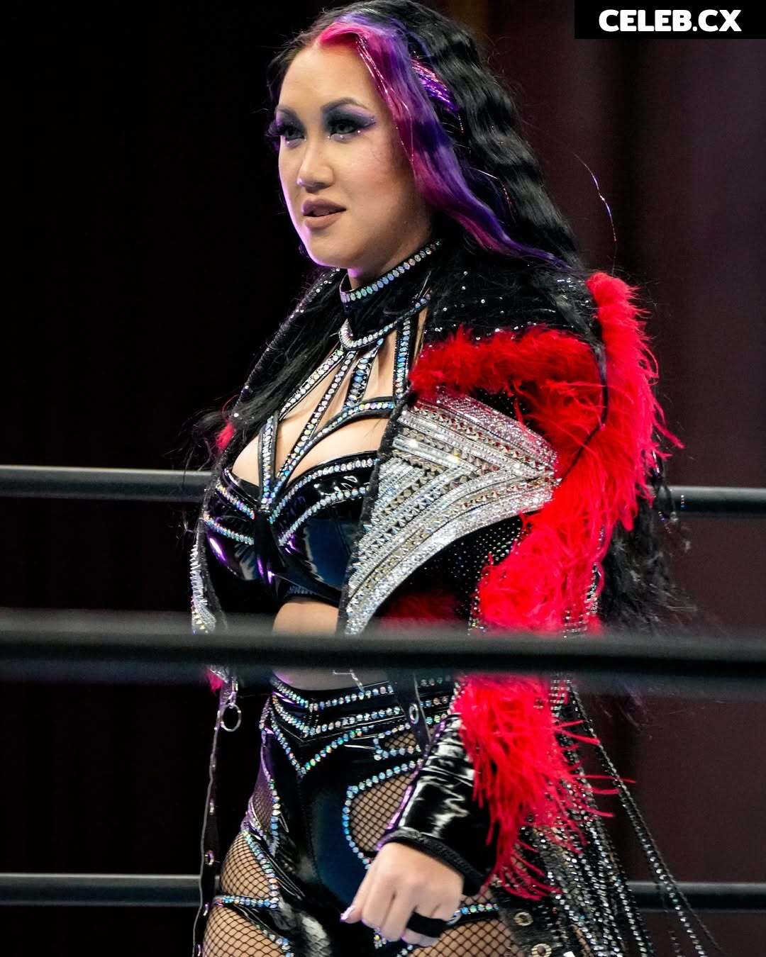Women of Professional Wrestling Image 6343458