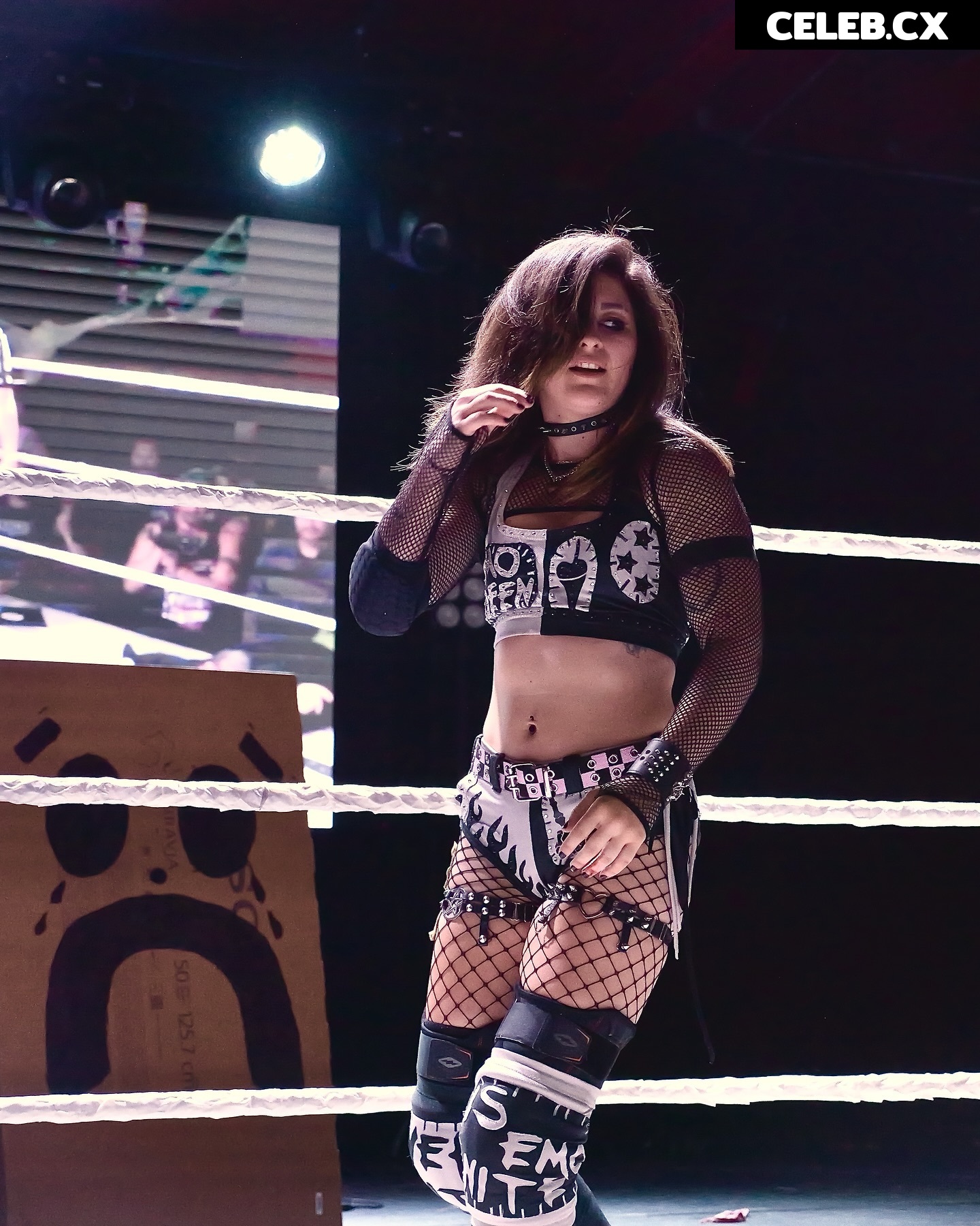 Women of Professional Wrestling Image 6343746
