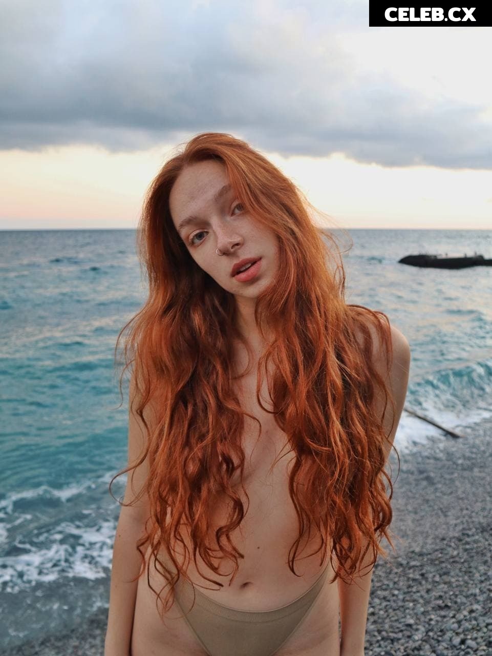 Maya Ginger Image 6340129