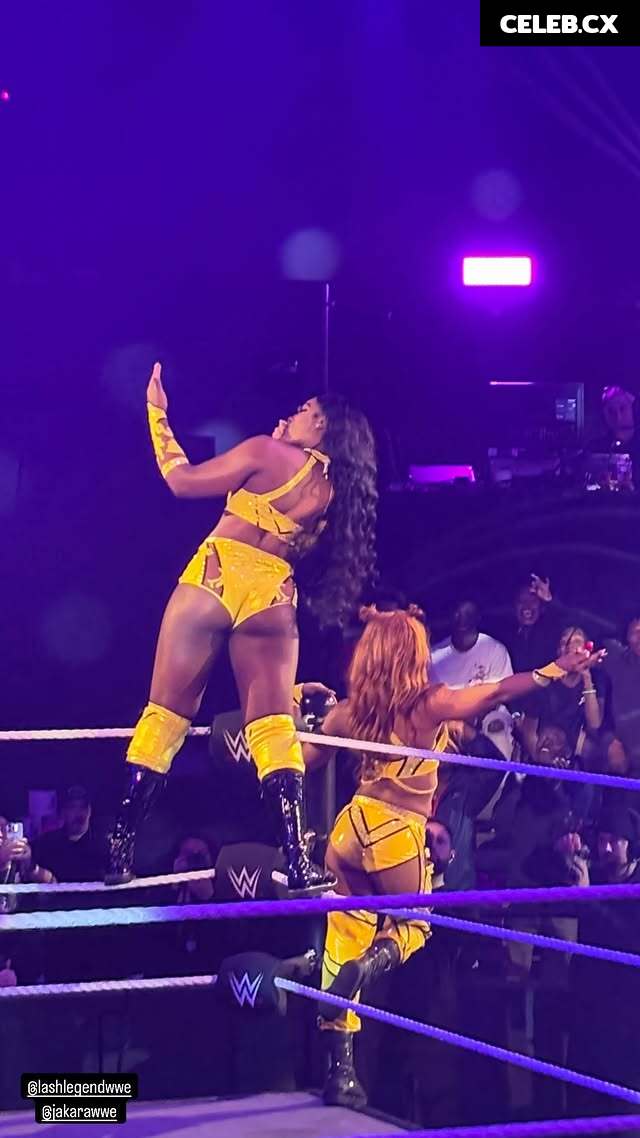 Women of Professional Wrestling Image 6349882