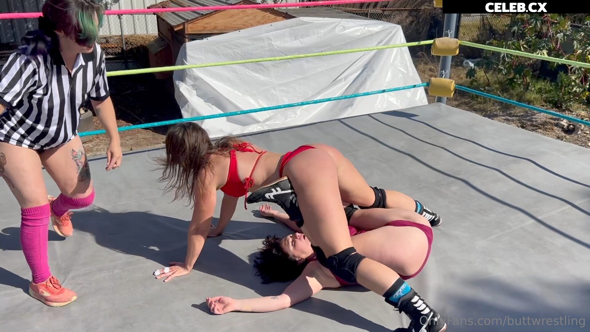 Women of Professional Wrestling Image 6349544