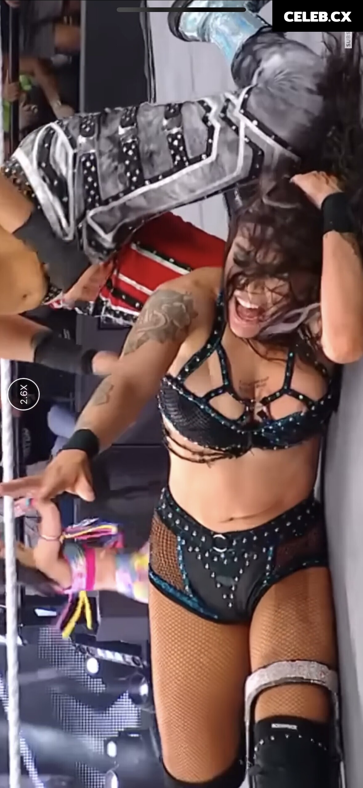 Women of Professional Wrestling Image 6349364