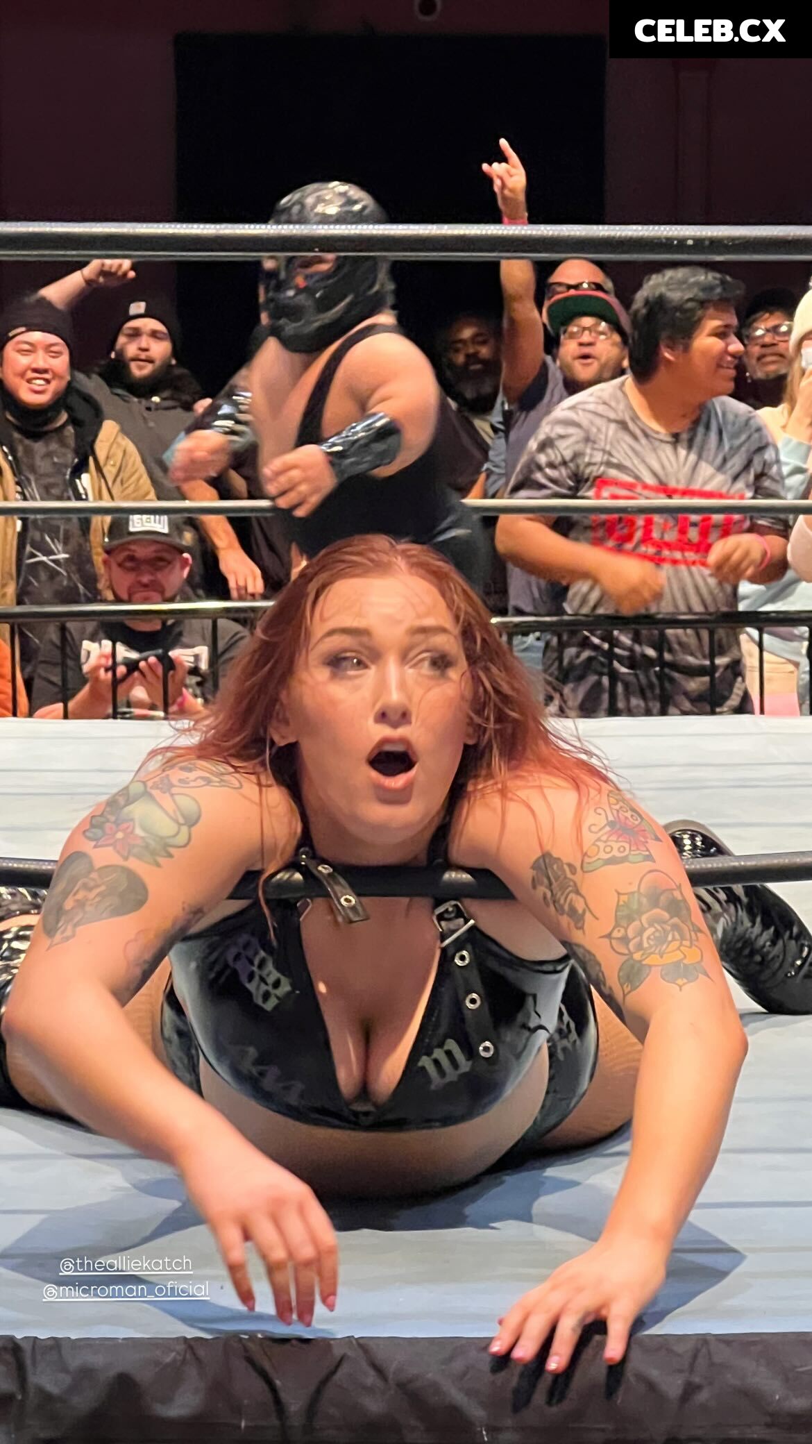 Women of Professional Wrestling Image 6331765