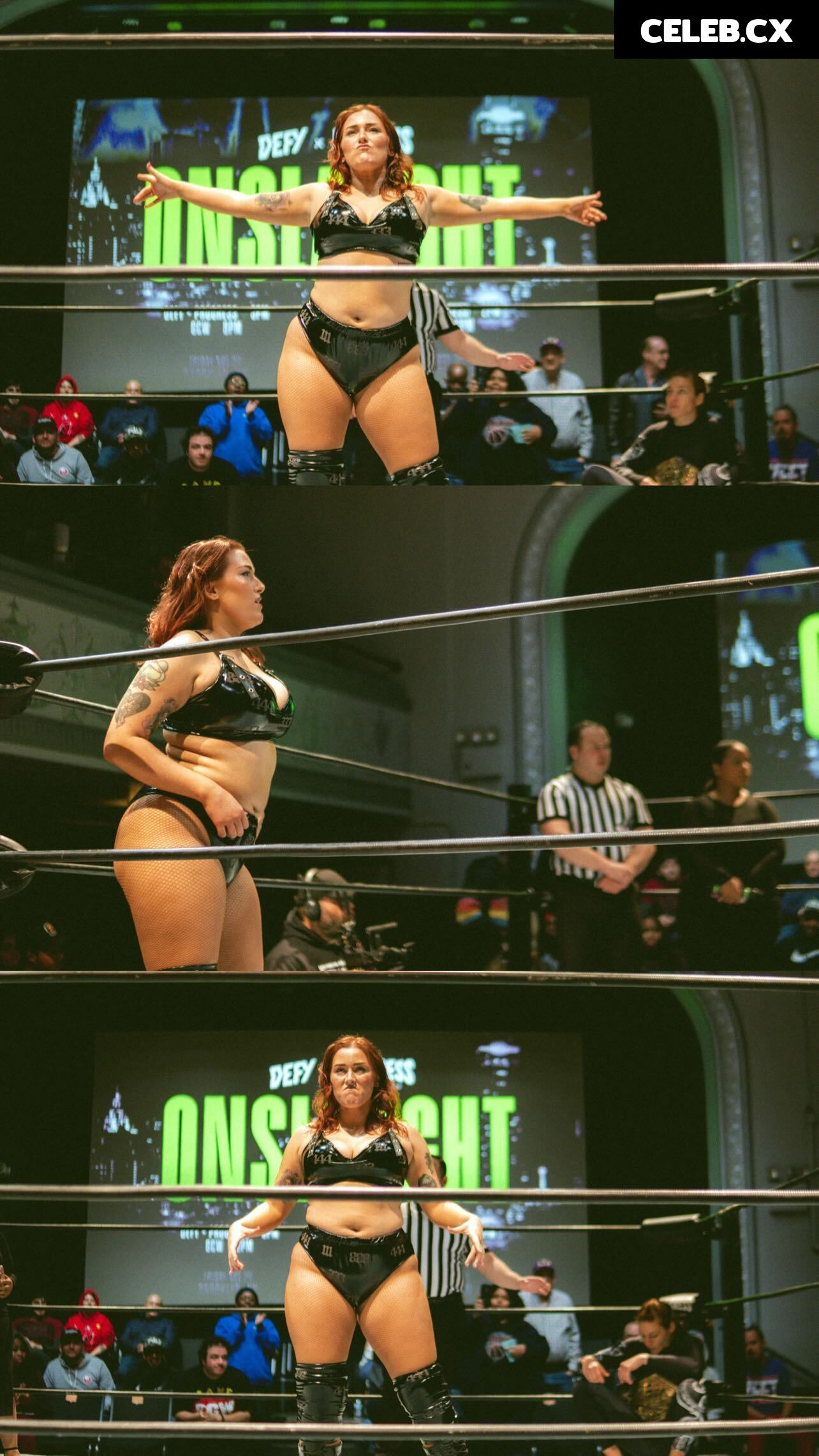 Women of Professional Wrestling Image 6331976