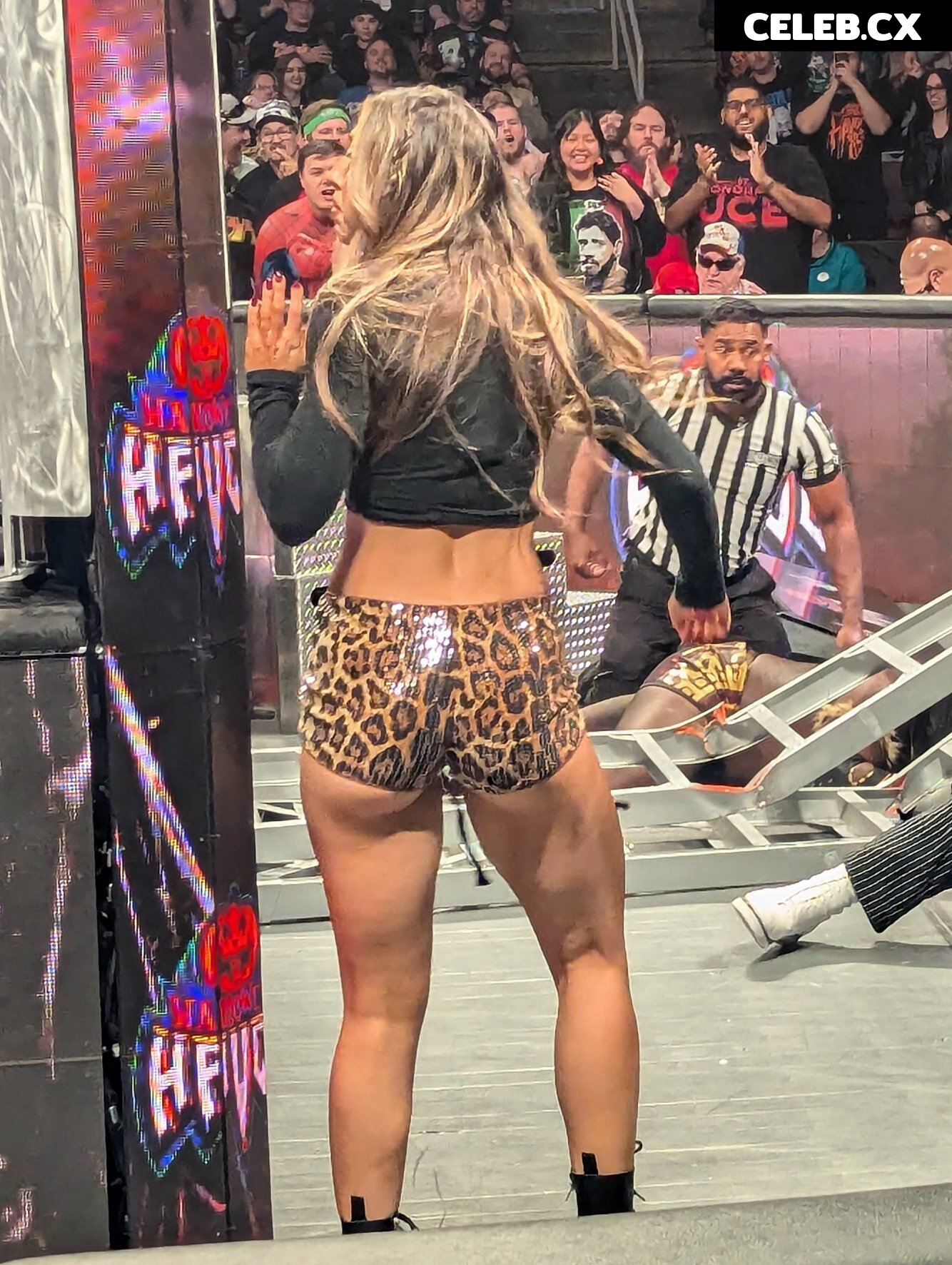 Women of Professional Wrestling Image 6339071