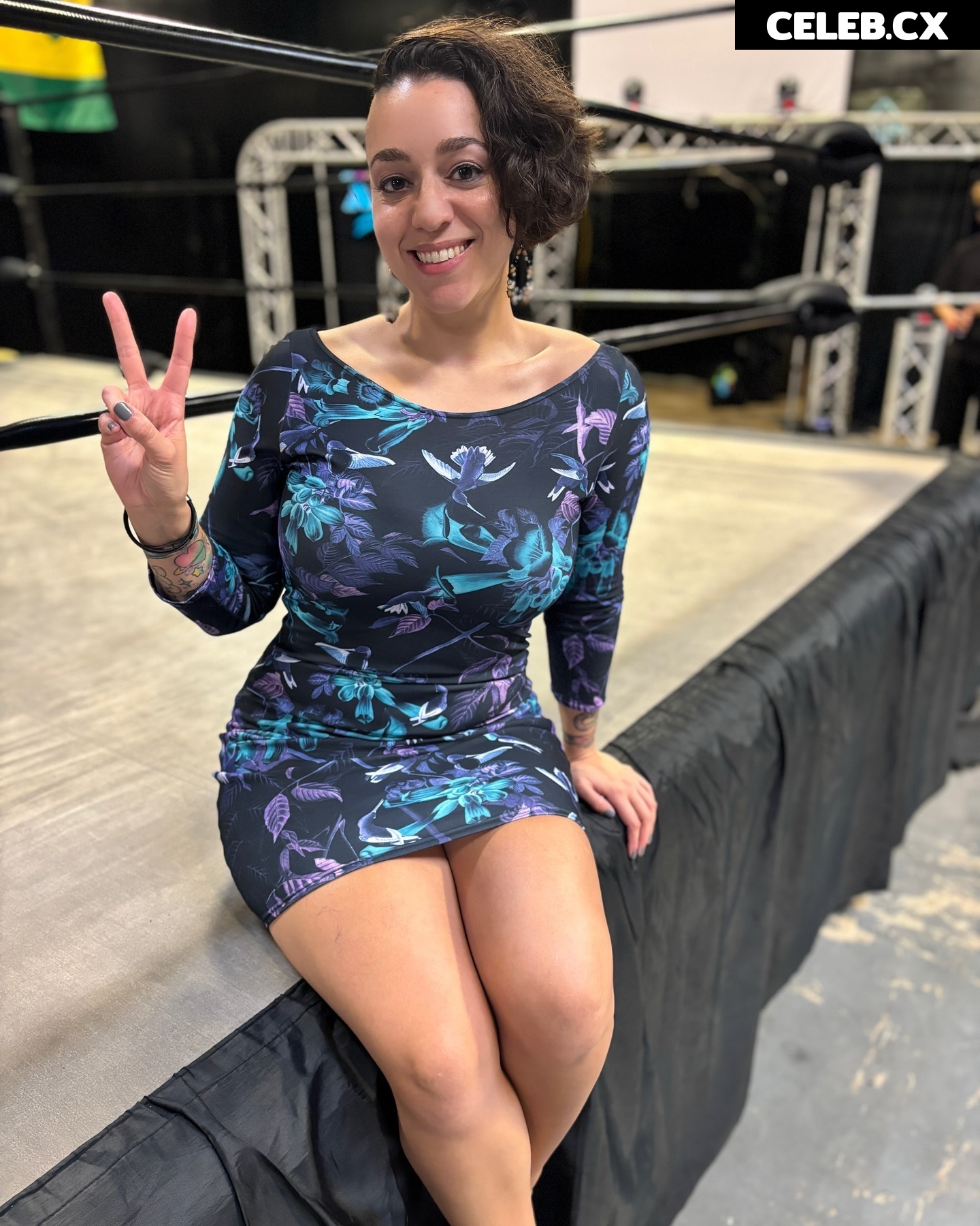 Women of Professional Wrestling Image 6338463