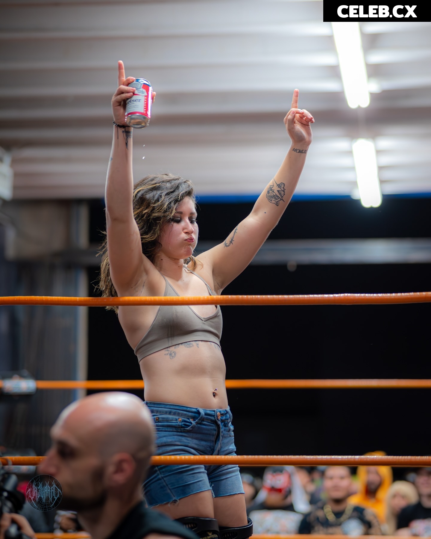 Women of Professional Wrestling Image 6325794