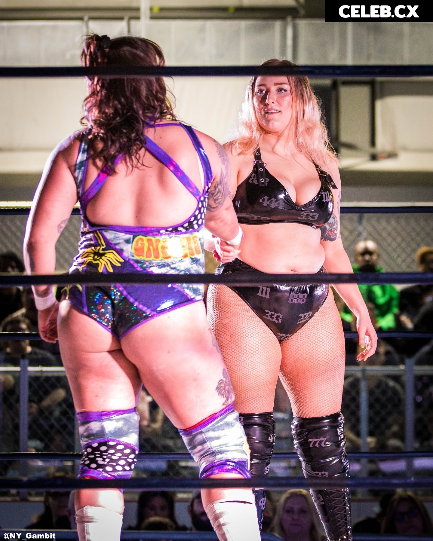 Women of Professional Wrestling Image 6325660