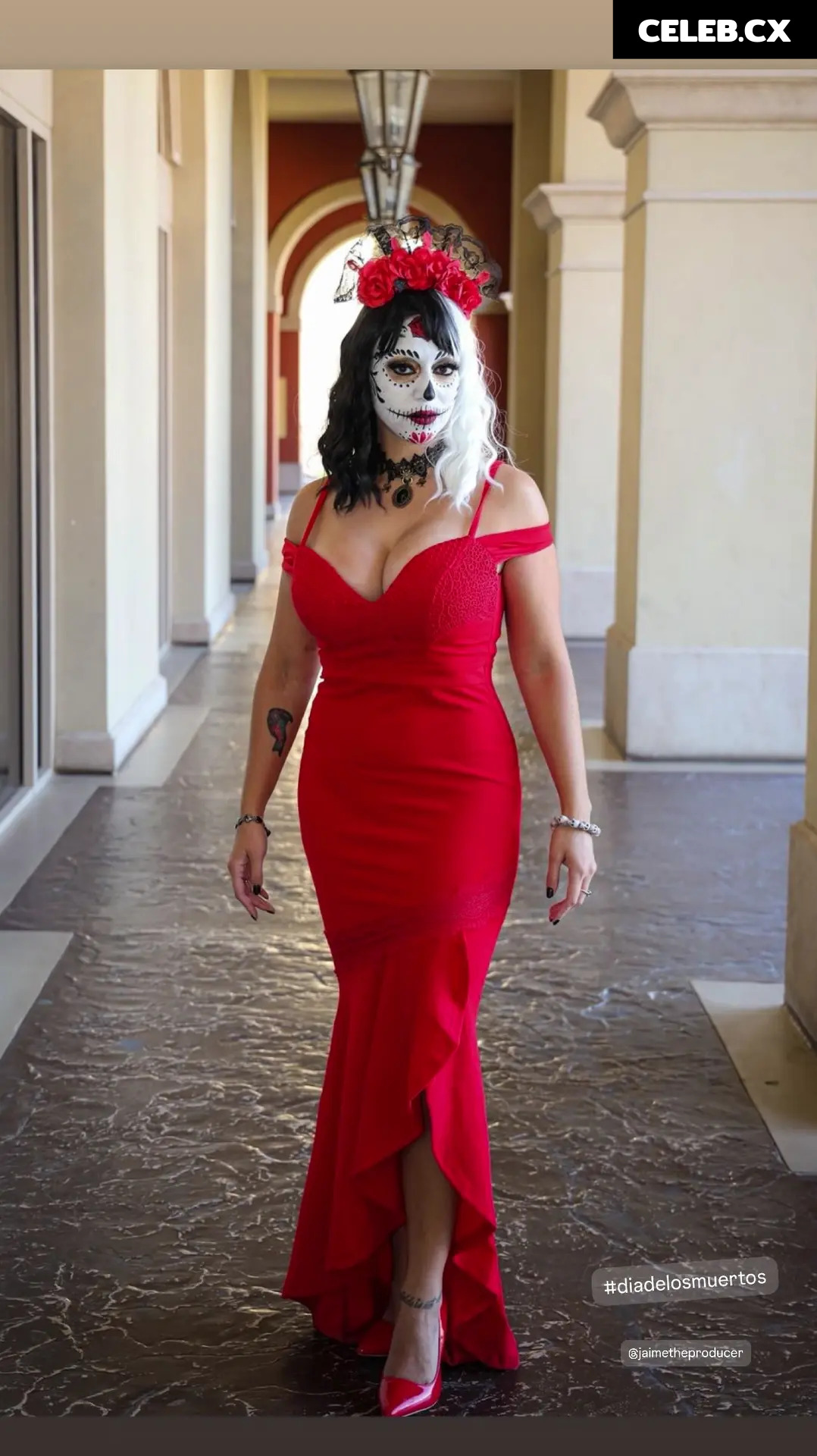 Women of Professional Wrestling Image 6326587