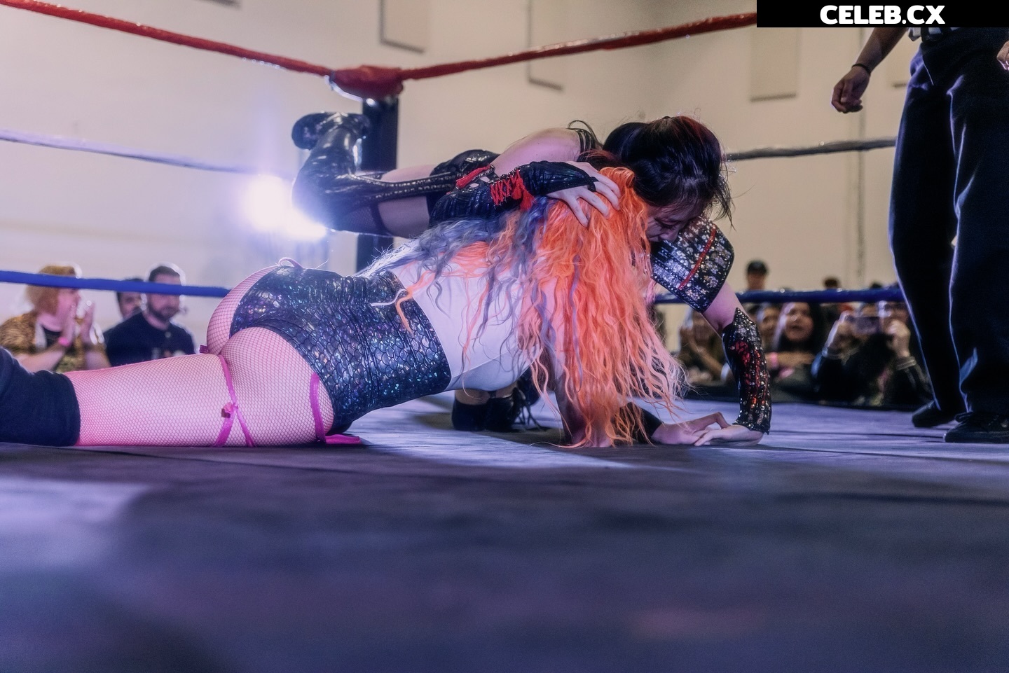 Women of Professional Wrestling Image 6327569