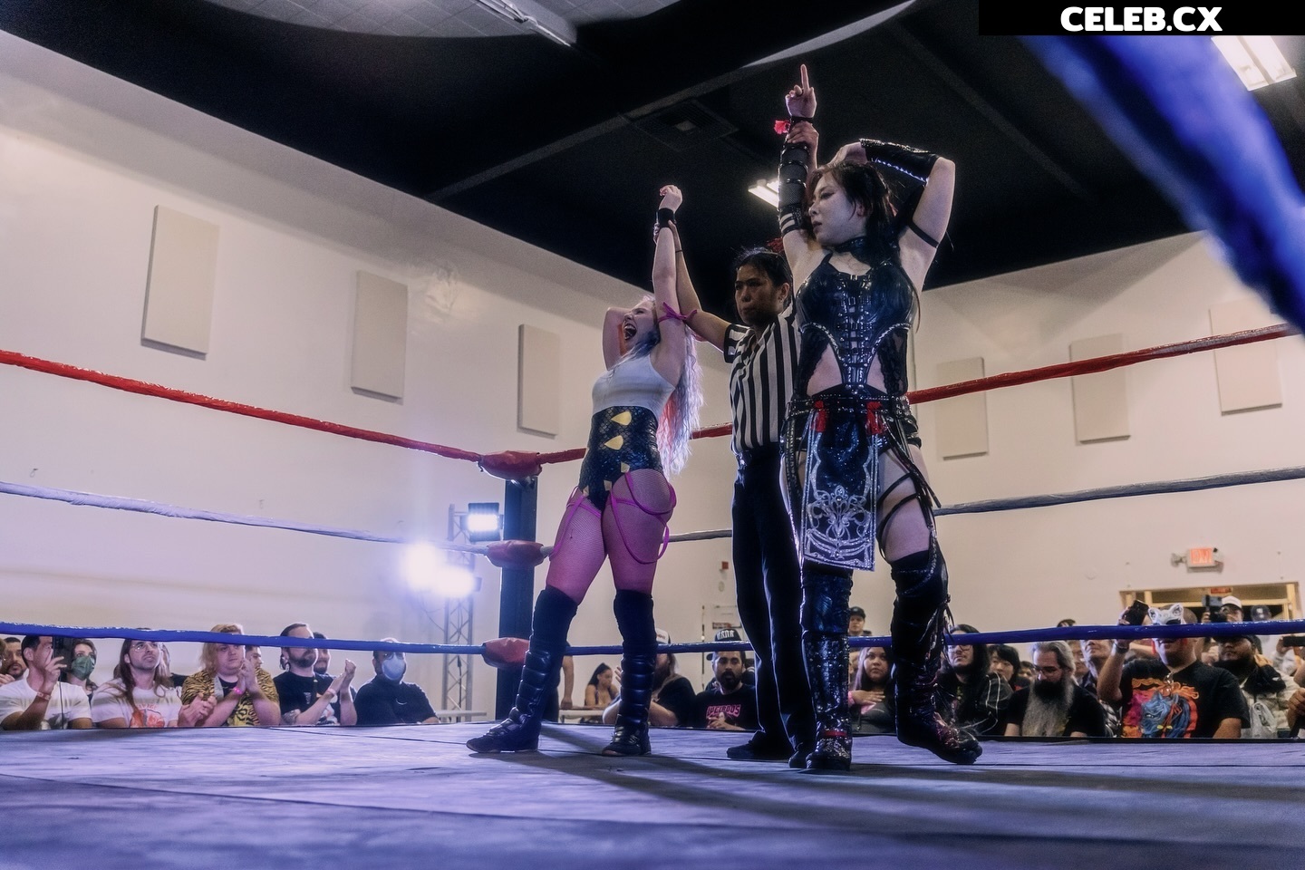 Women of Professional Wrestling Image 6327533