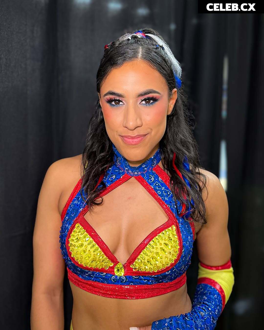 Women of Professional Wrestling Image 6329543