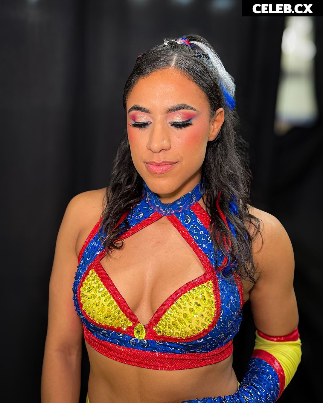 Women of Professional Wrestling Image 6329569