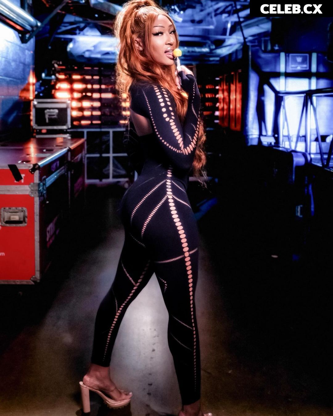 Women of Professional Wrestling Image 6315713