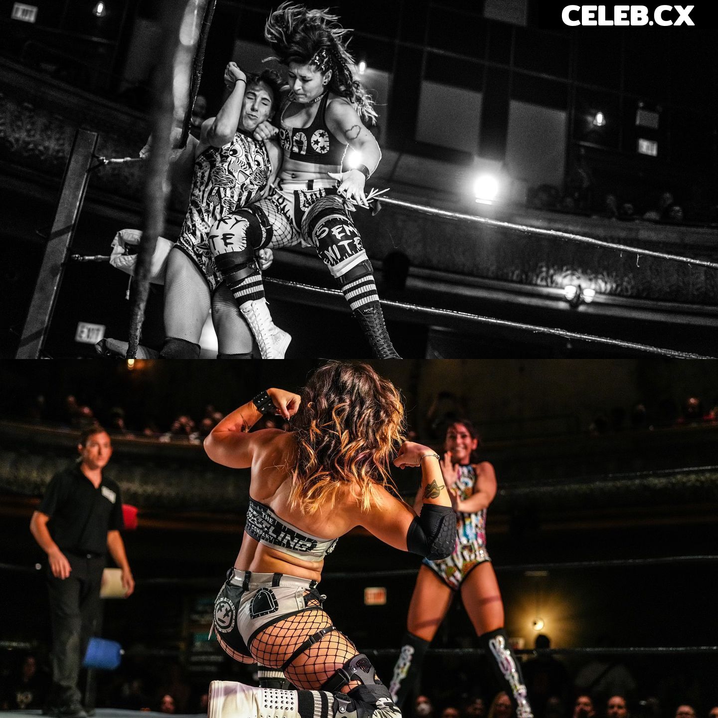 Women of Professional Wrestling Image 6315204