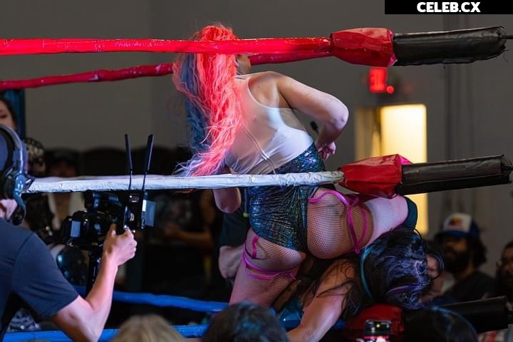 Women of Professional Wrestling Image 6314662