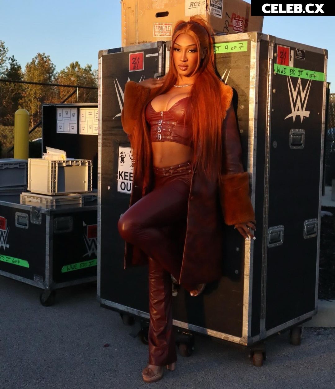 Women of Professional Wrestling Image 6314969