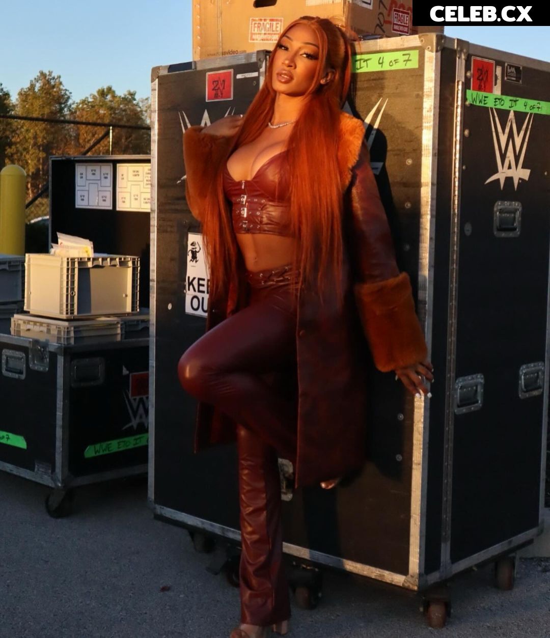 Women of Professional Wrestling Image 6314920