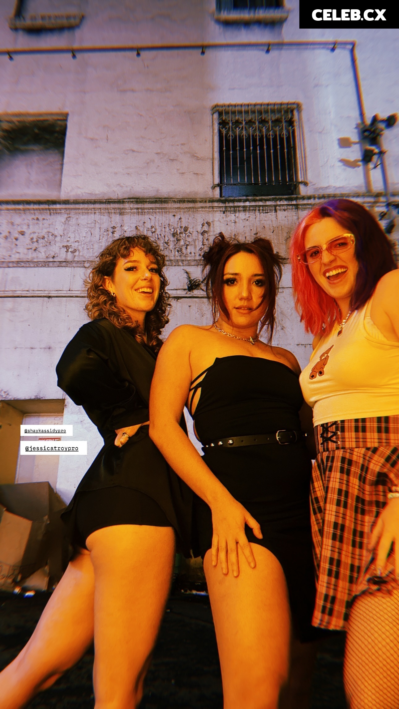 Women of Professional Wrestling Image 6312502