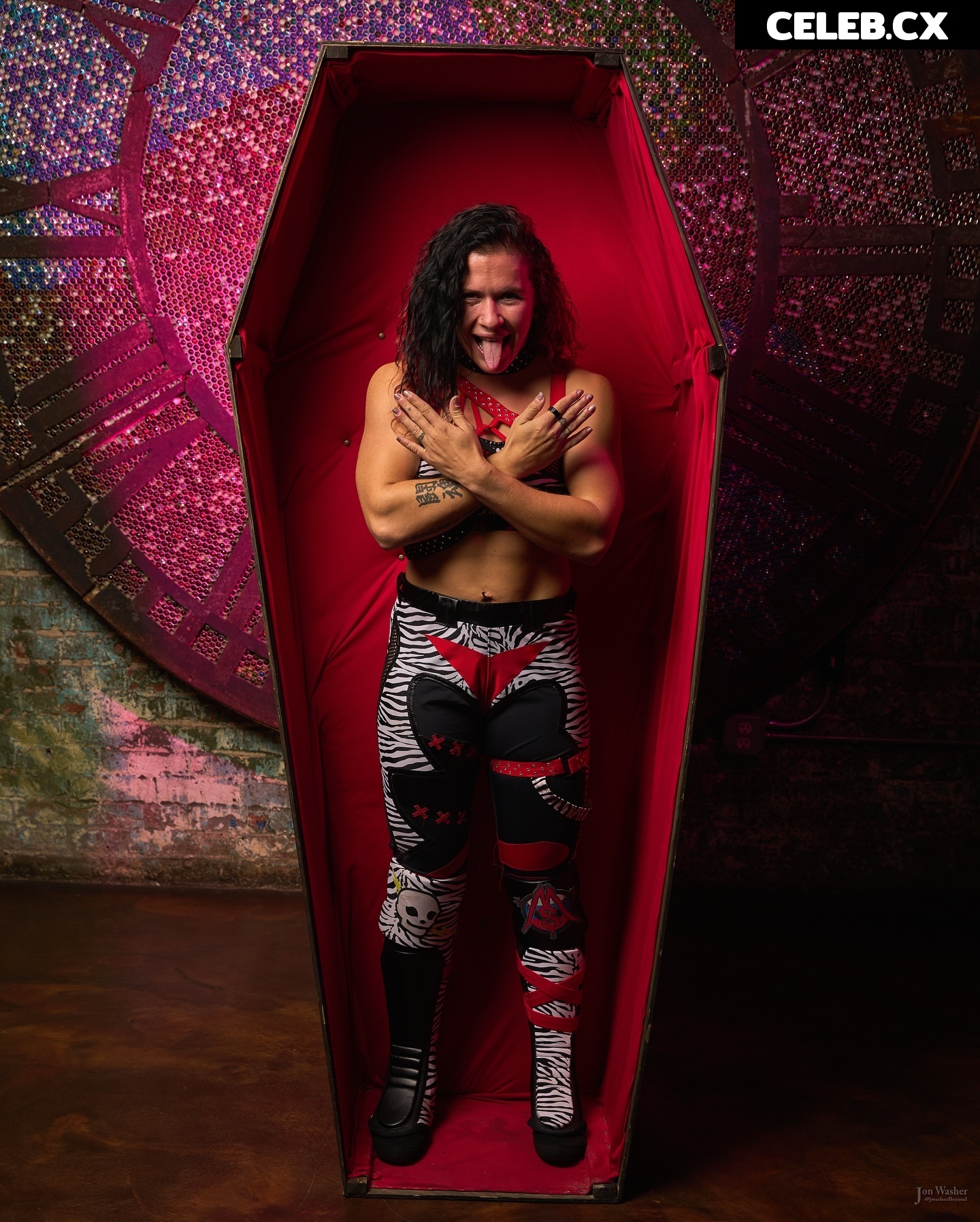 Women of Professional Wrestling Image 6319081