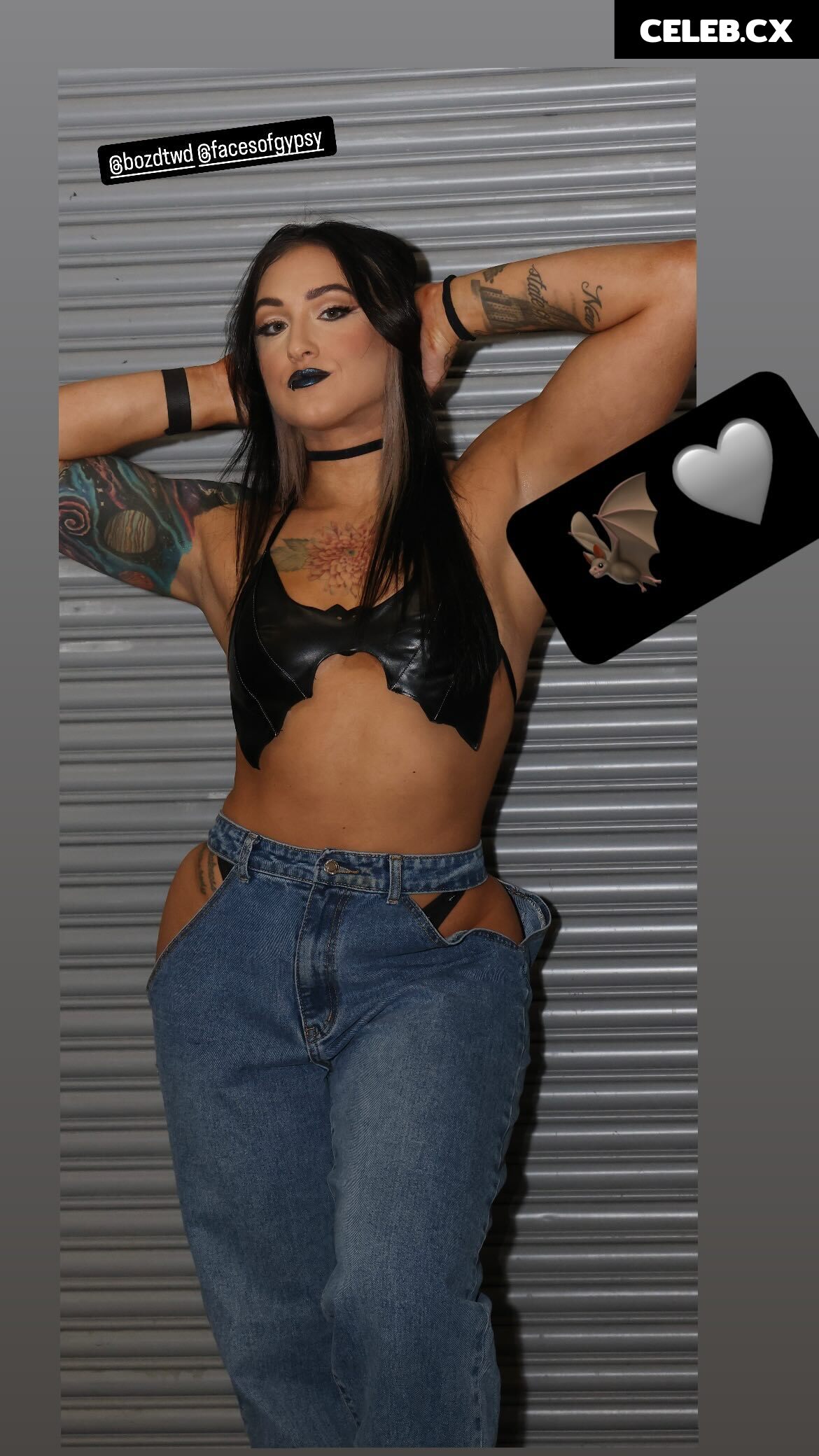 Women of Professional Wrestling Image 6319042