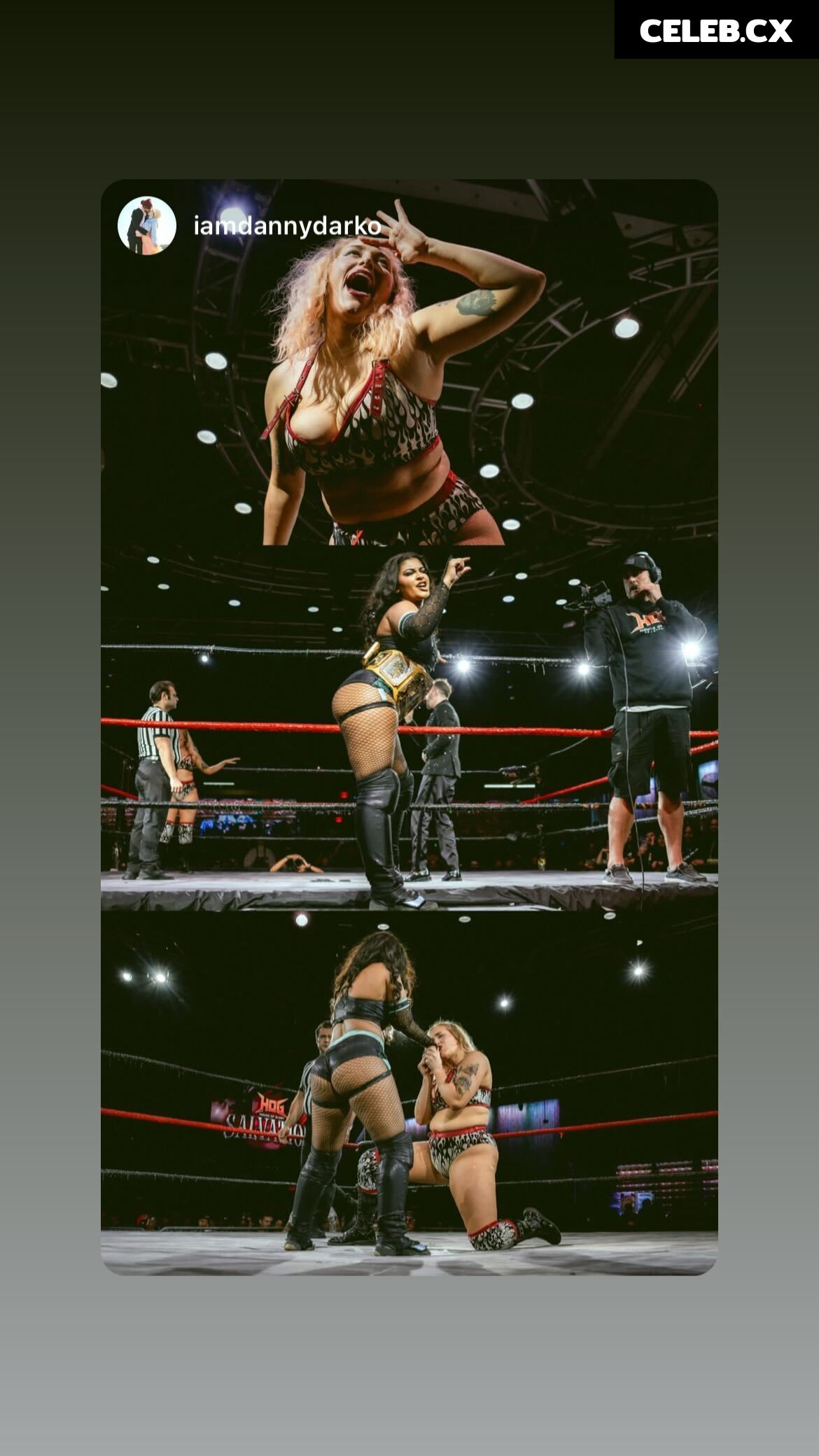 Women of Professional Wrestling Image 6318230