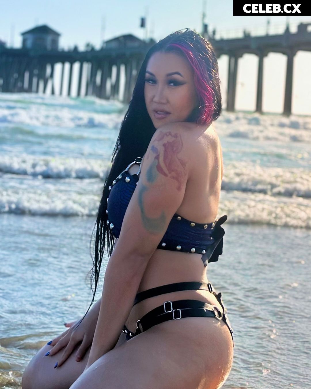 Women of Professional Wrestling Image 6305263