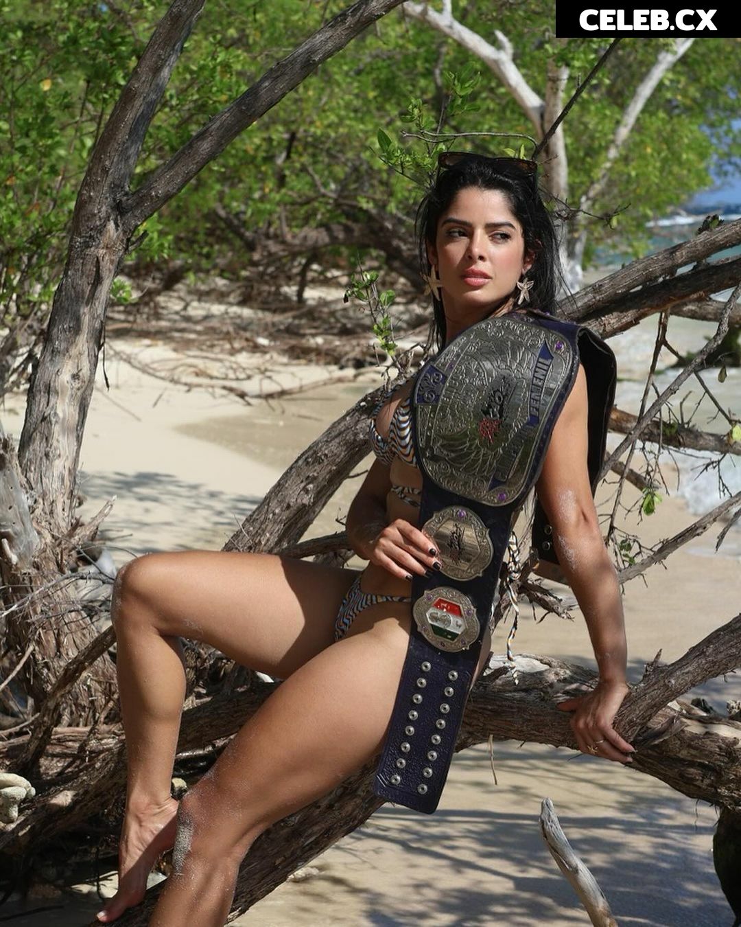 Women of Professional Wrestling Image 6306300