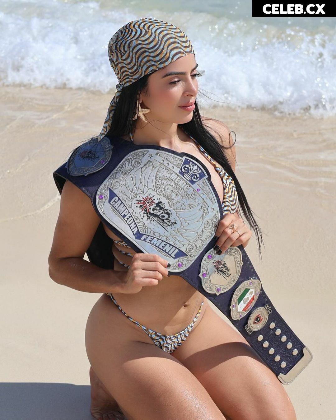 Women of Professional Wrestling Image 6306252