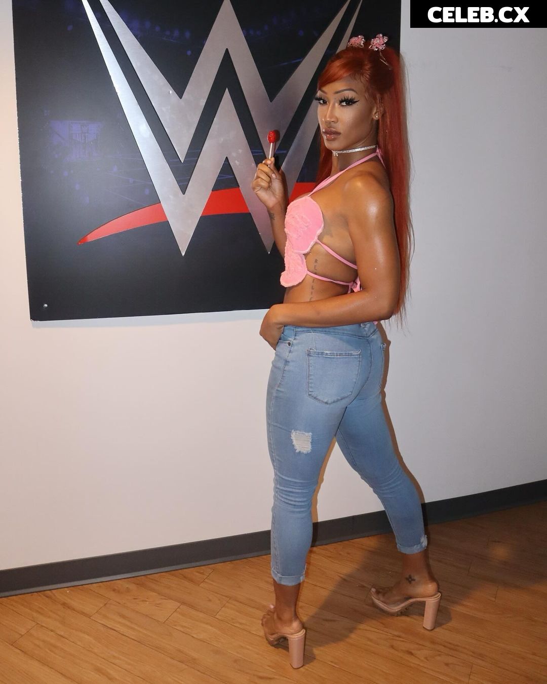 Women of Professional Wrestling Image 6307510