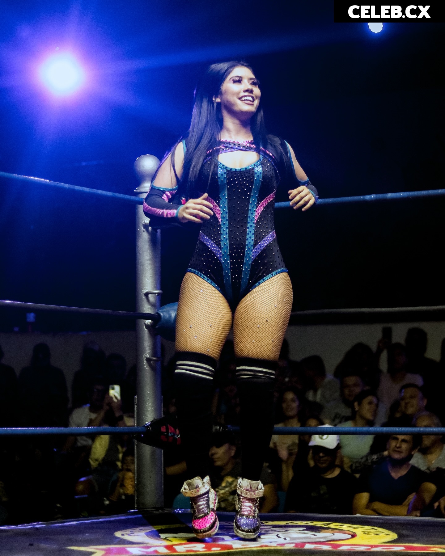 Women of Professional Wrestling Image 6302580