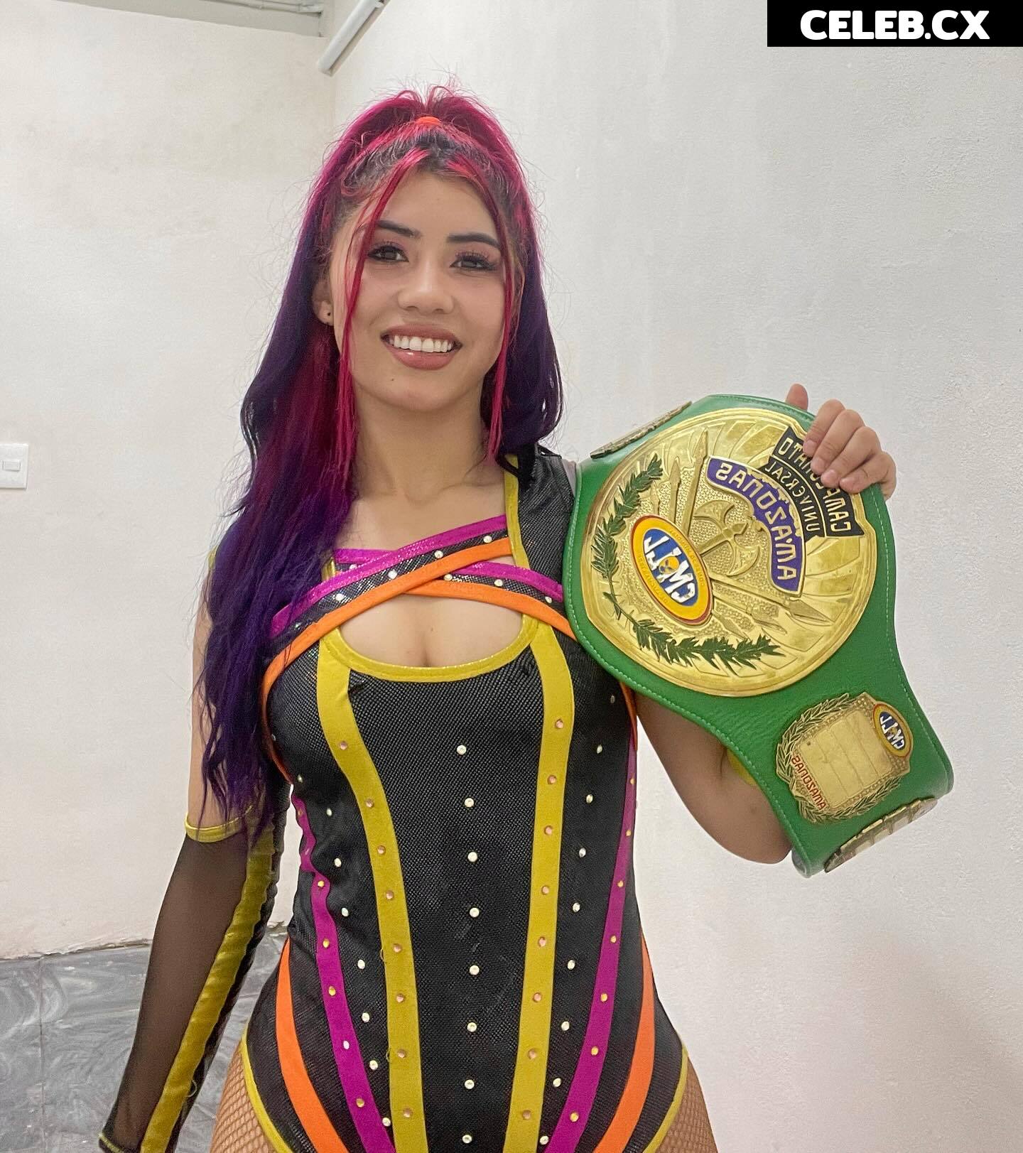 Women of Professional Wrestling Image 6302556