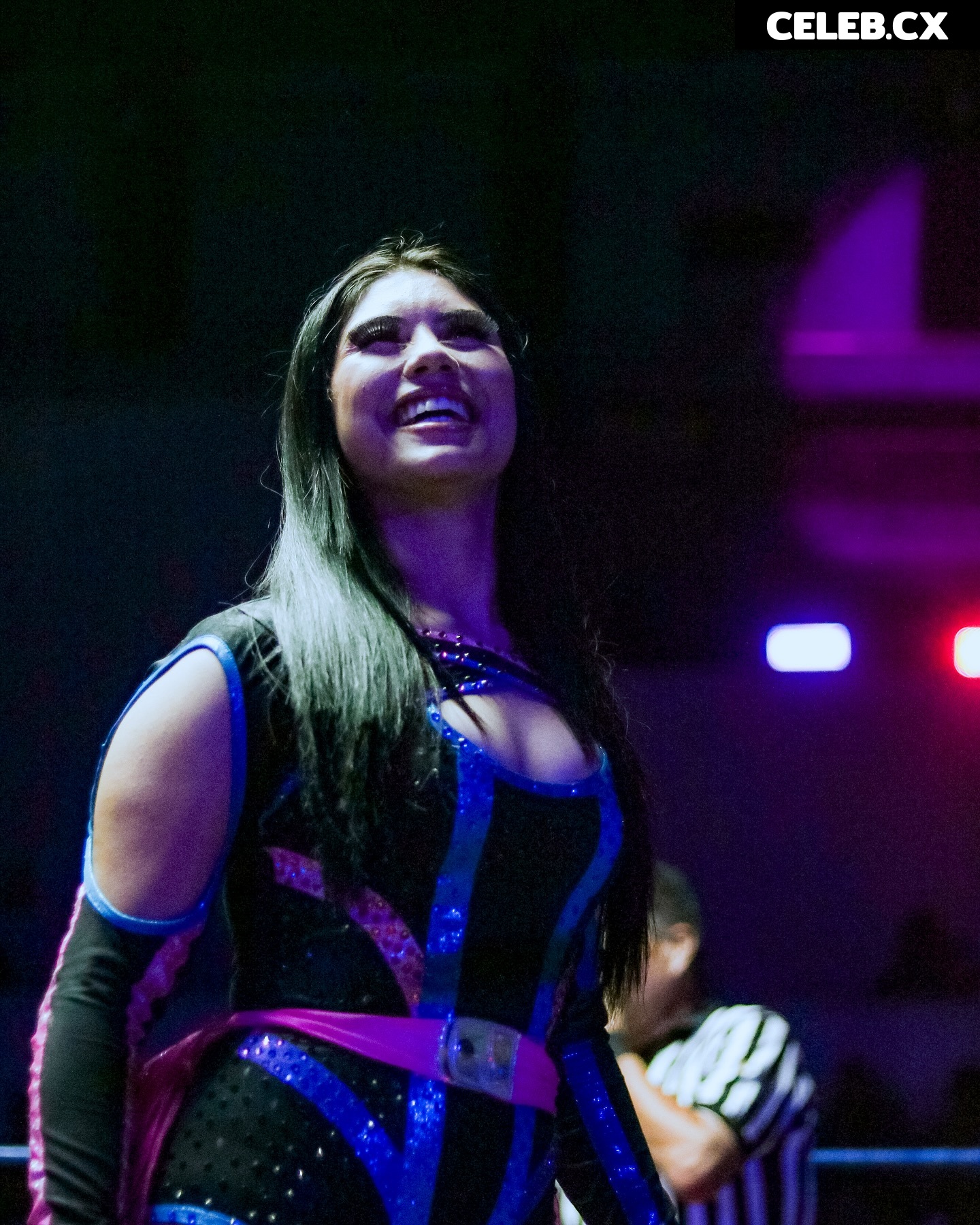 Women of Professional Wrestling Image 6302565