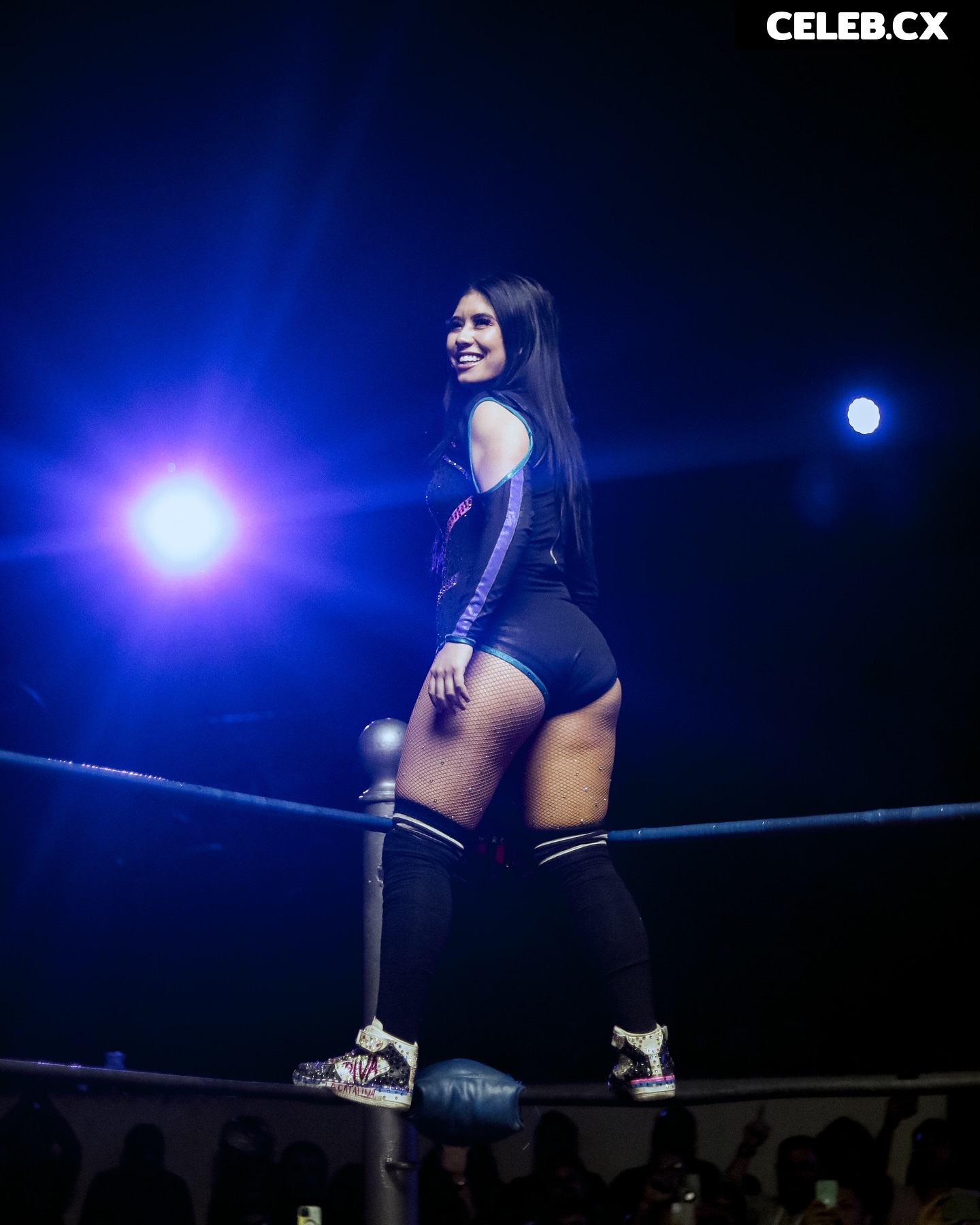 Women of Professional Wrestling Image 6302656