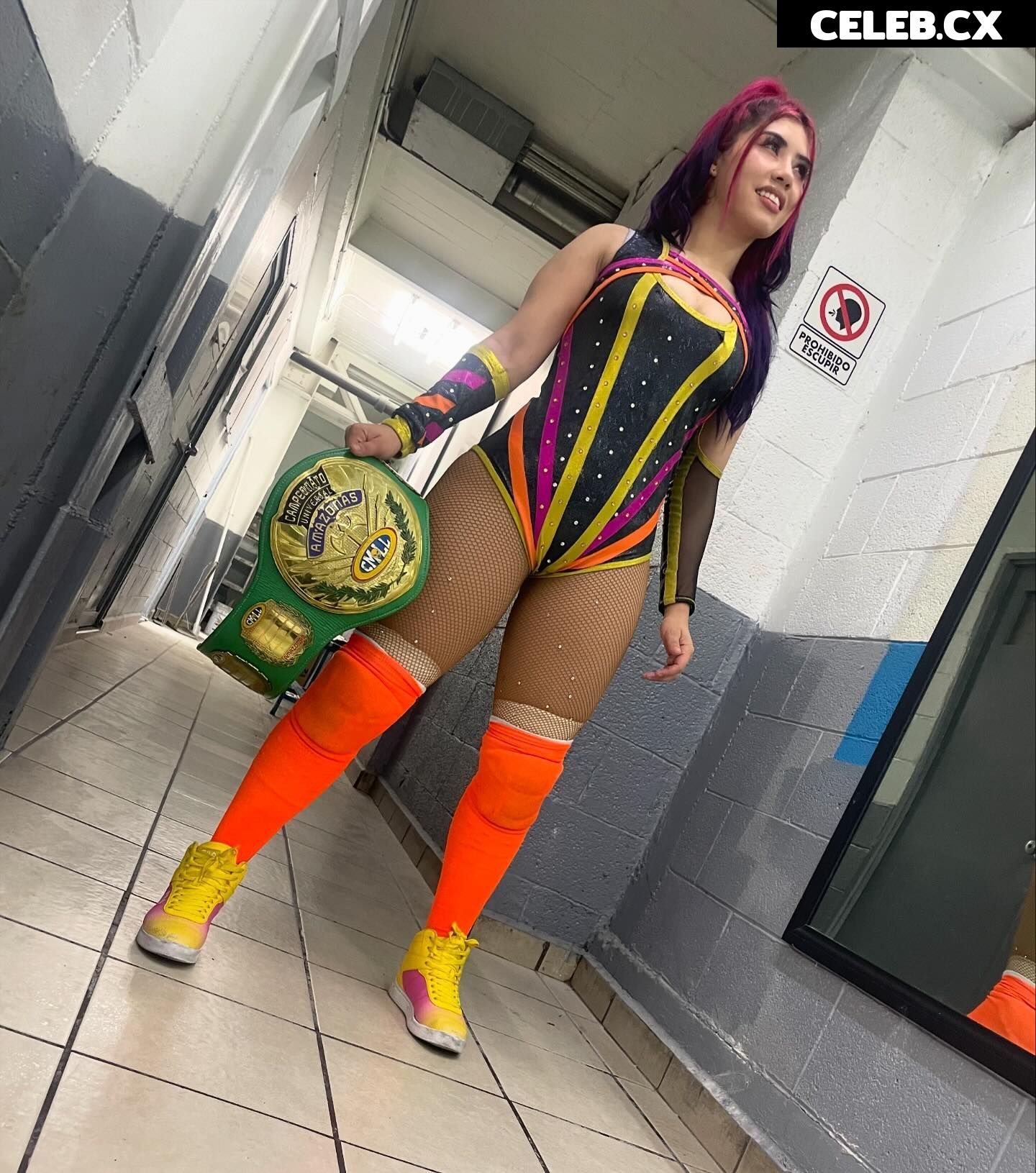 Women of Professional Wrestling Image 6302620