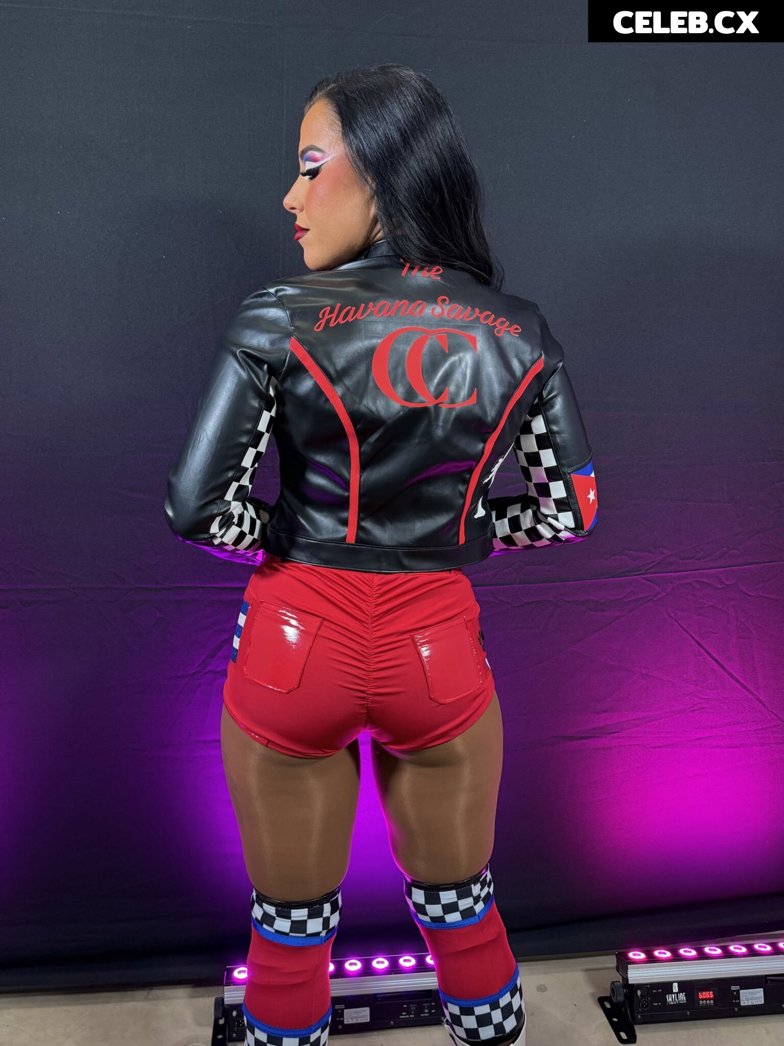 Women of Professional Wrestling Image 6302930