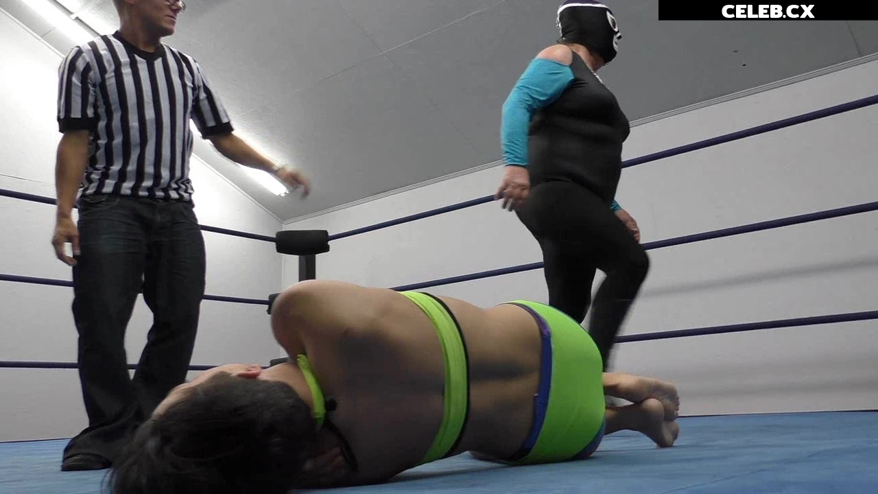 Women of Professional Wrestling Image 6303483