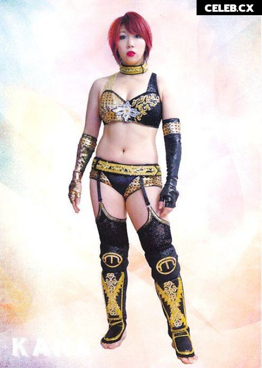 Women of Professional Wrestling Image 6309005