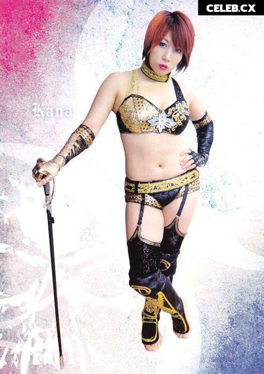 Women of Professional Wrestling Image 6309028