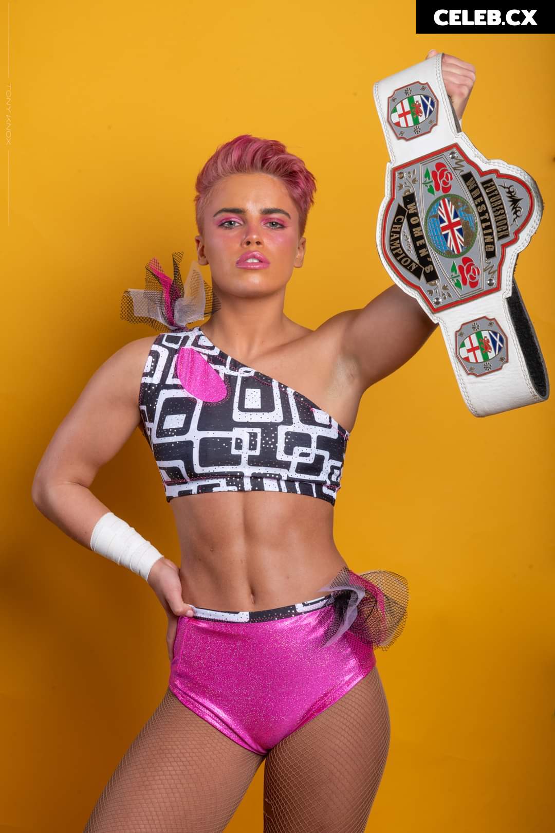 Women of Professional Wrestling Image 6309328