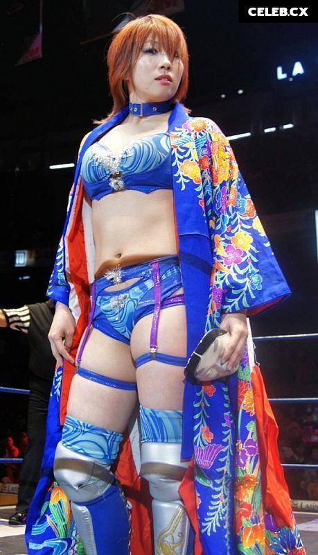 Women of Professional Wrestling Image 6308862