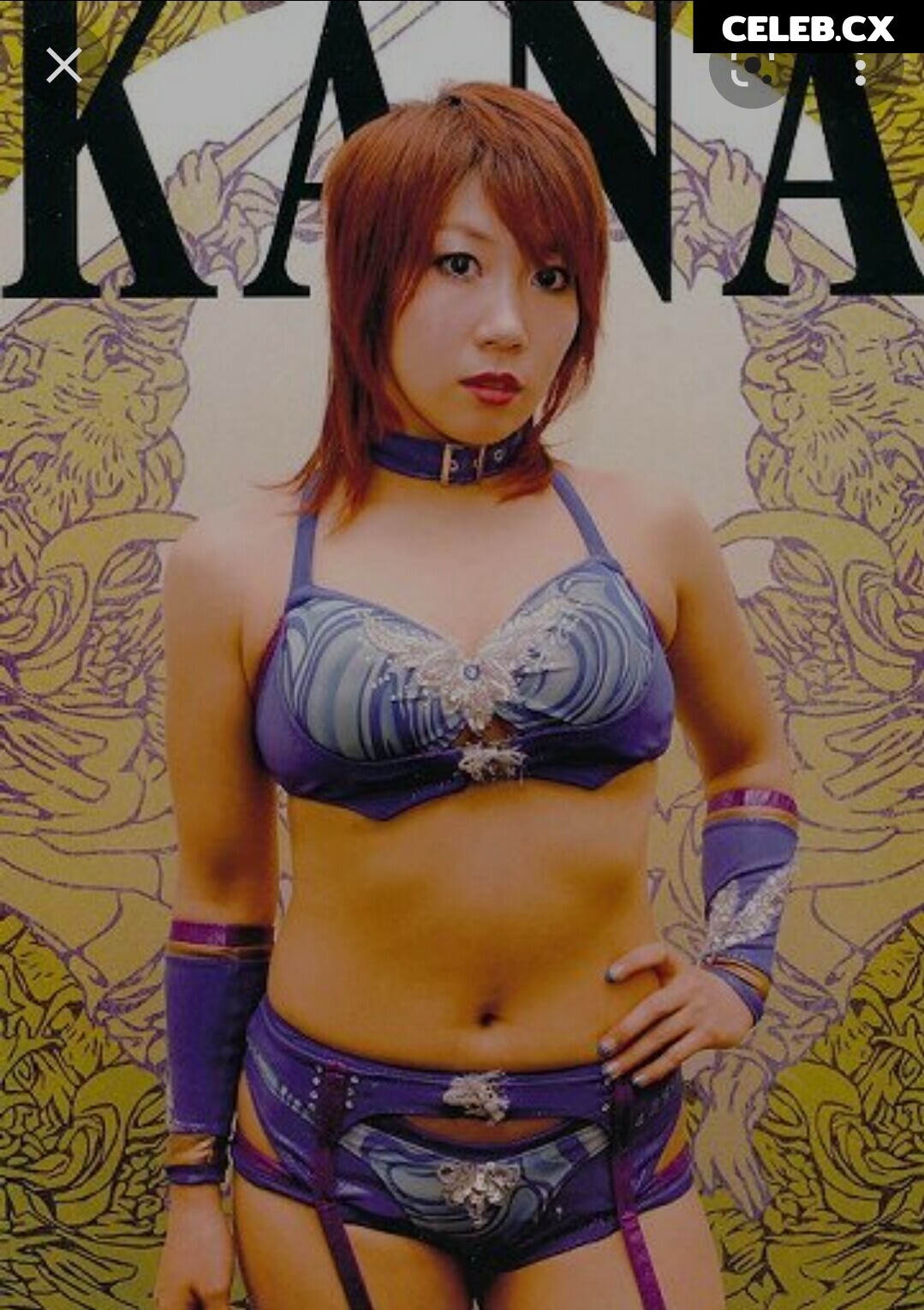 Women of Professional Wrestling Image 6308791