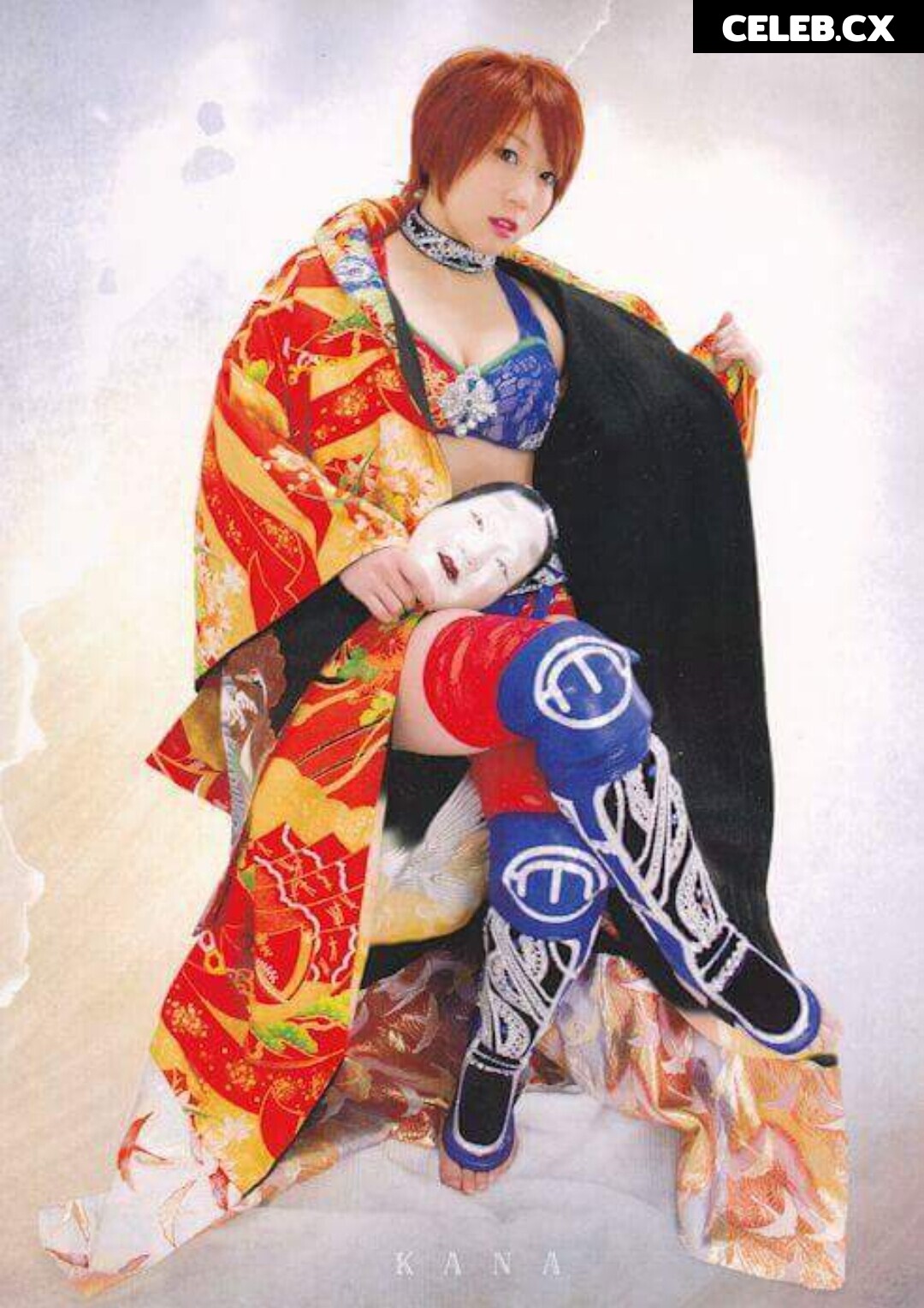 Women of Professional Wrestling Image 6308764