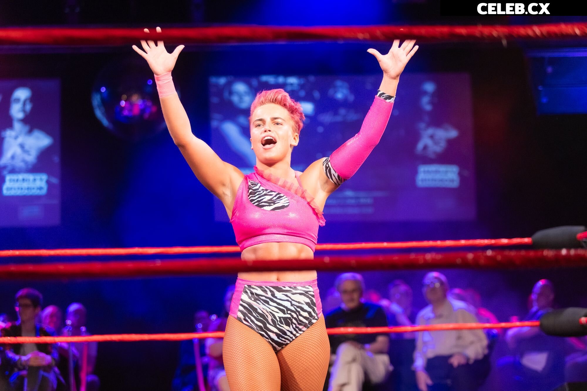Women of Professional Wrestling Image 6308187