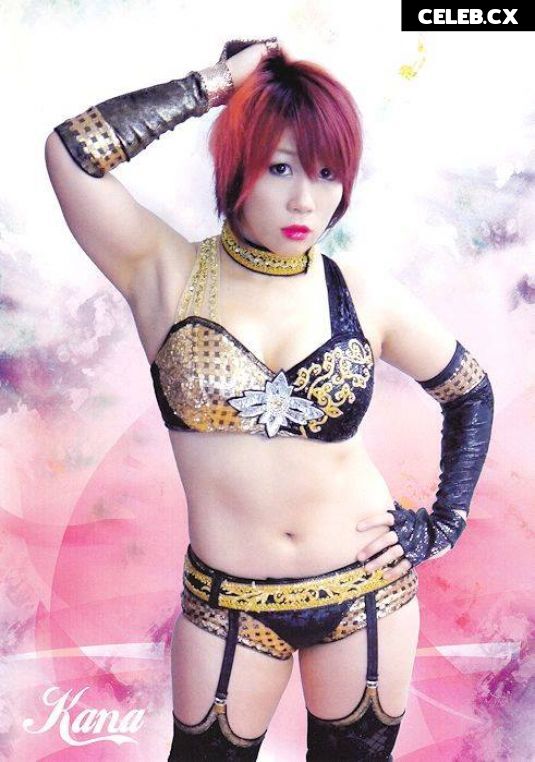 Women of Professional Wrestling Image 6308988