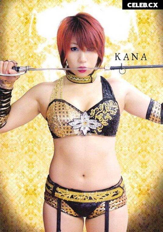 Women of Professional Wrestling Image 6308953
