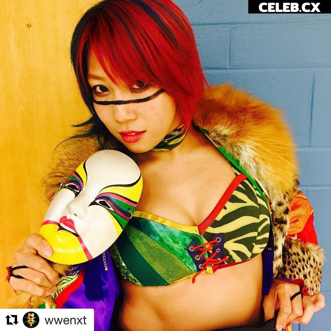 Women of Professional Wrestling Image 6308938